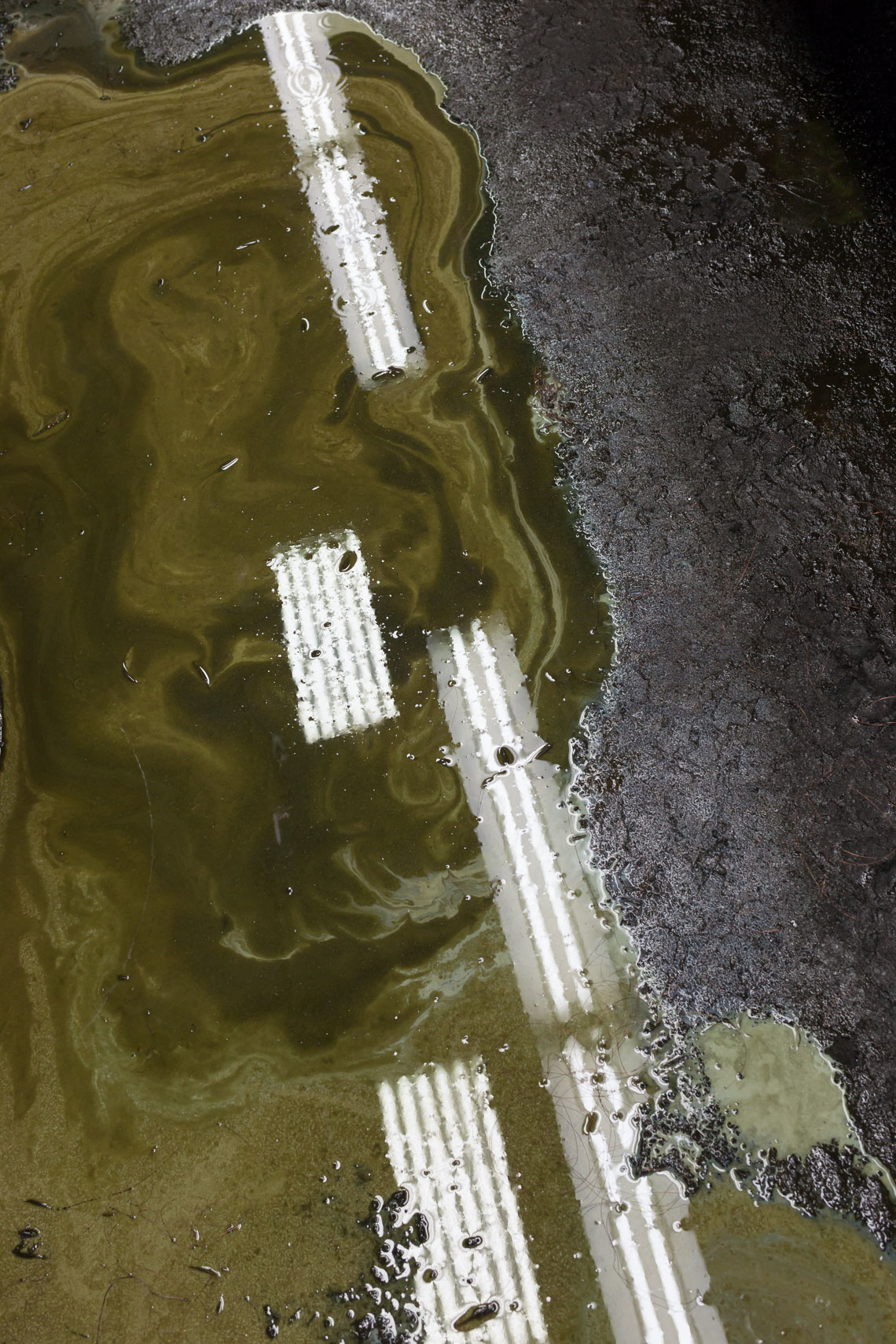 Soderholm_FactoryFloor_Camden_Web